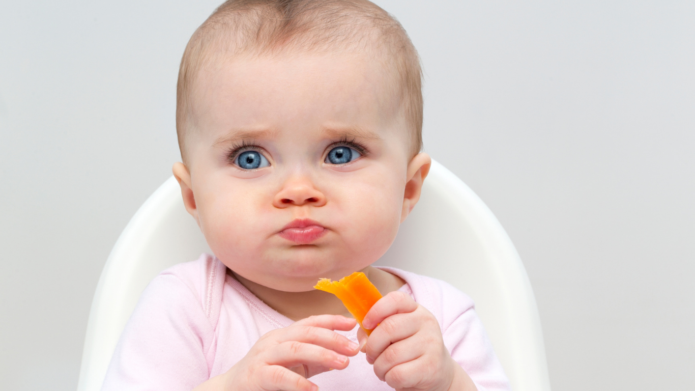 La DME : quoi savoir avant de débuter la diversification menée par l’enfant