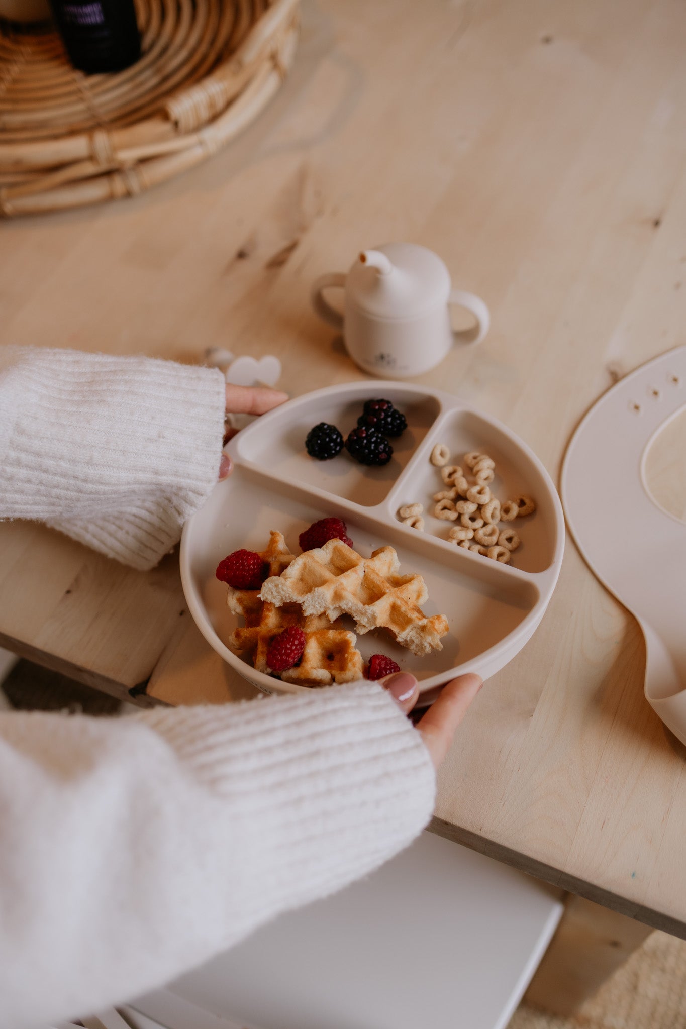 Silicone suction cup plate with compartments