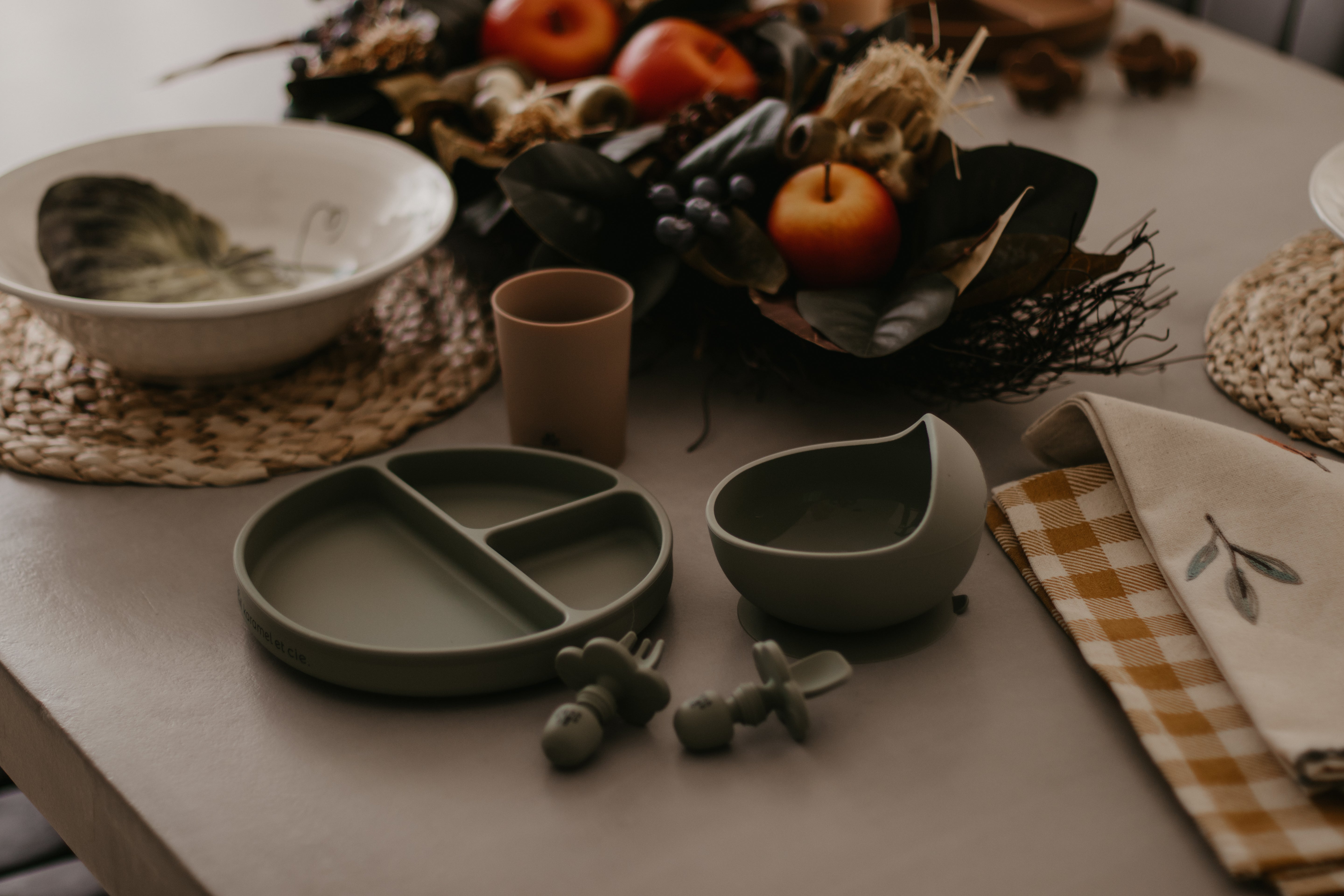 Coffret repas tout-en-un en silicone | 8 essentiels pour la DME