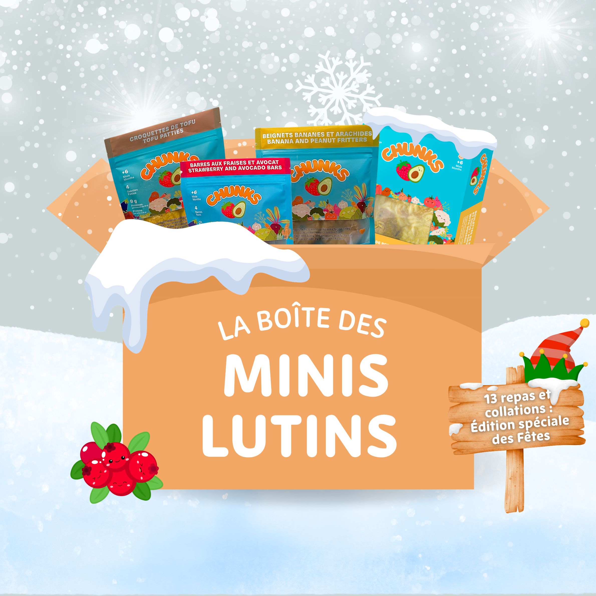 * La Boîte des Minis Lutins -Édition limitée