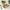 Boules nutritives au kiwi et haricots rouges (4 unités)