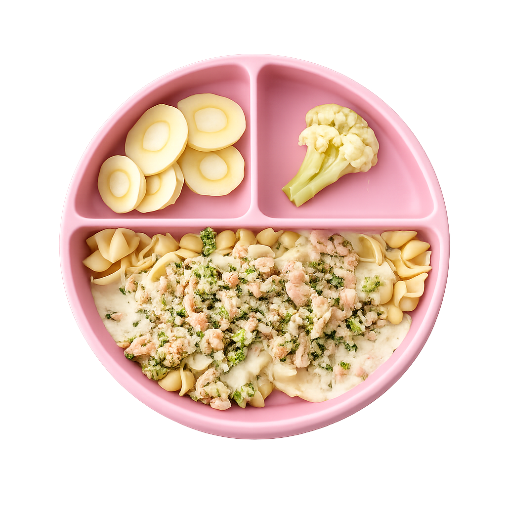 Coquilles crémeuses au saumon & légumes (210 g)