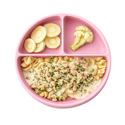 Coquilles crémeuses au saumon & légumes (210 g)