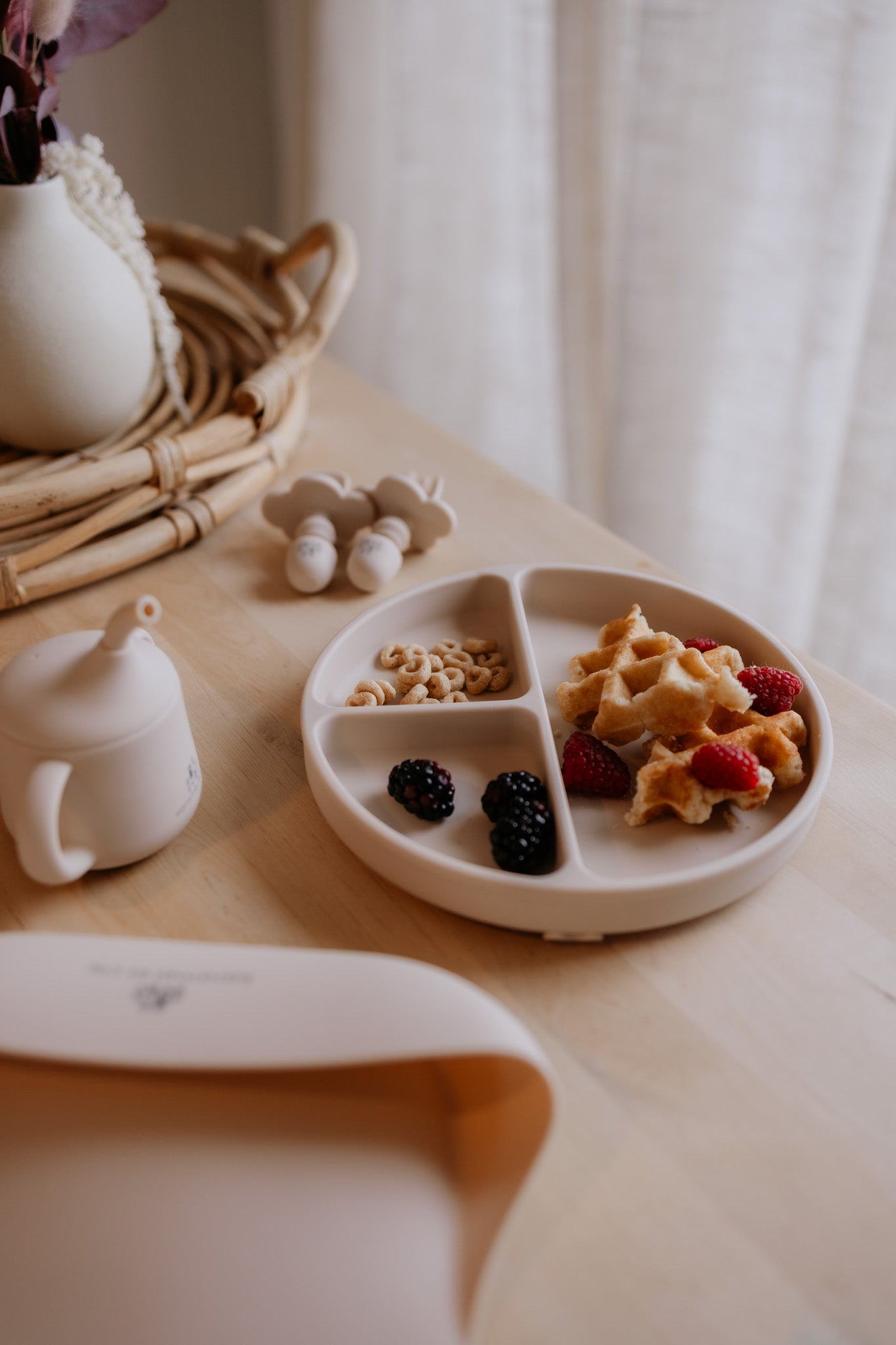 Silicone suction cup plate with compartments