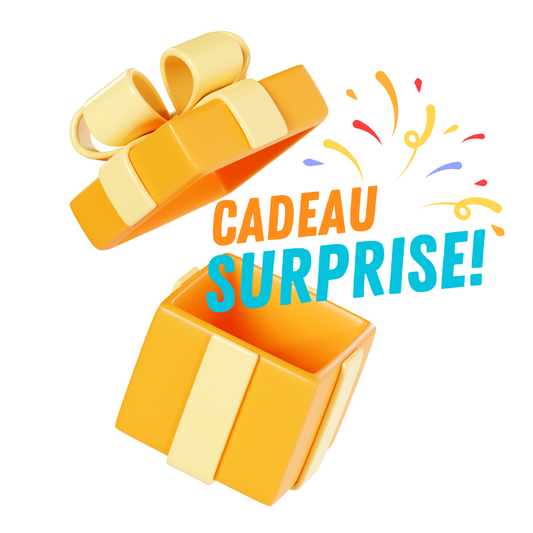 ***Cadeau Surprise****